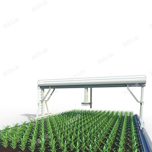 田間軌道式高通量植物表型采集分析平臺(tái) TP-GTL-1-UG